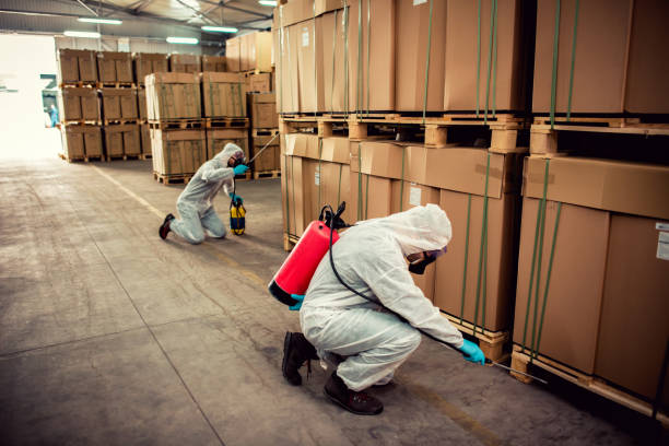Professional Pest Control in Citrus Heights, CA
