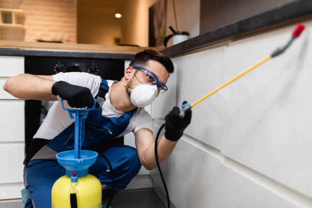 Best Pest Removal Services  in Citrus Heights, CA
