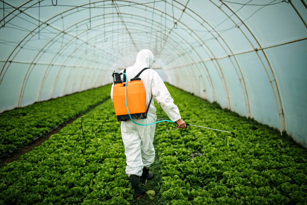 Best Pest Control Near Me  in Citrus Heights, CA