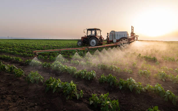 Pest Control Cost in Citrus Heights, CA
