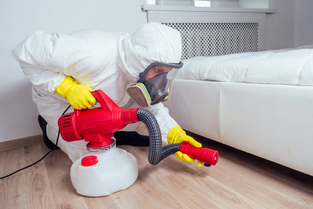 Best Bed Bug Extermination  in Citrus Heights, CA