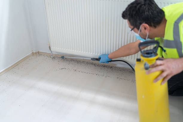 Best Rat Extermination Near Me  in Citrus Heights, CA