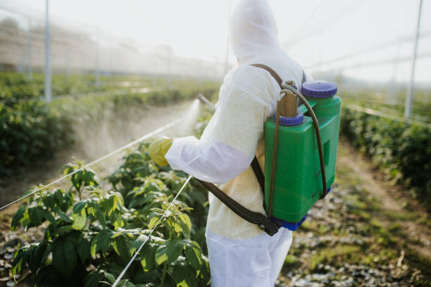 Bird Control in Citrus Heights, CA